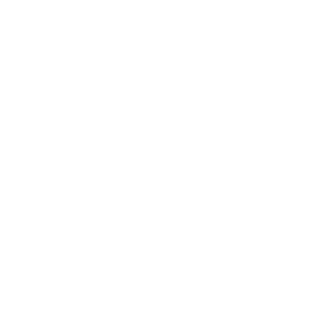 logo-bourges-maconnerie-blanc